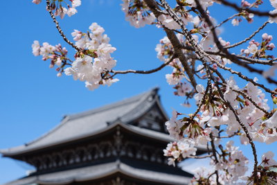 【大府店：4月休業日のお知らせ】